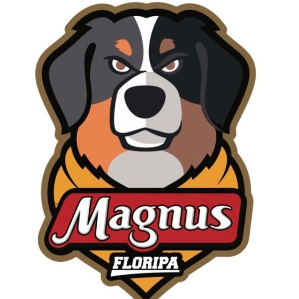 Magnus School Floripa