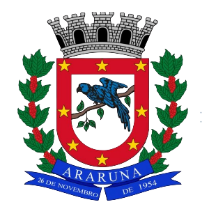 Araruna Futsal