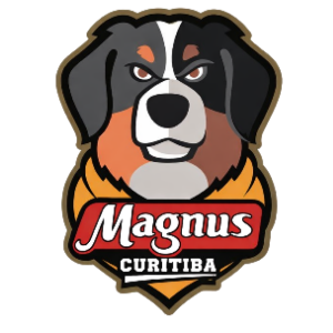 Magnus School Curitiba