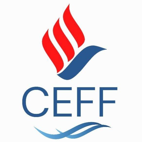 CEFF Futsal / Insfut